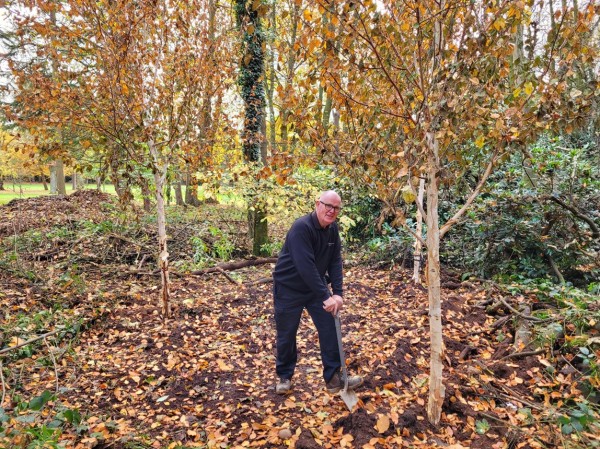 Carl planting silver birches