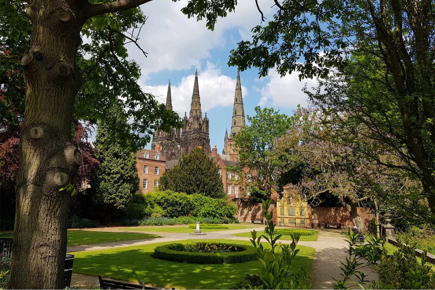 Lichfield Cathedral viewed through trees
